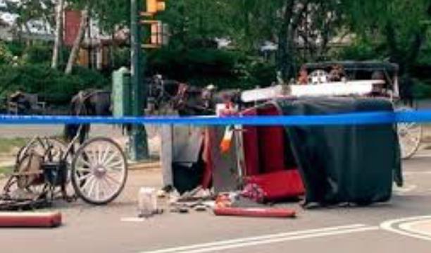New York Leaders Push Horse-Carriage Ban 