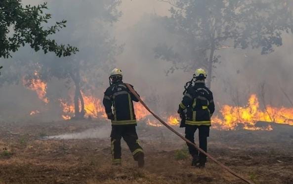 Wildfires Force Mass Evacuations Across France and Spain