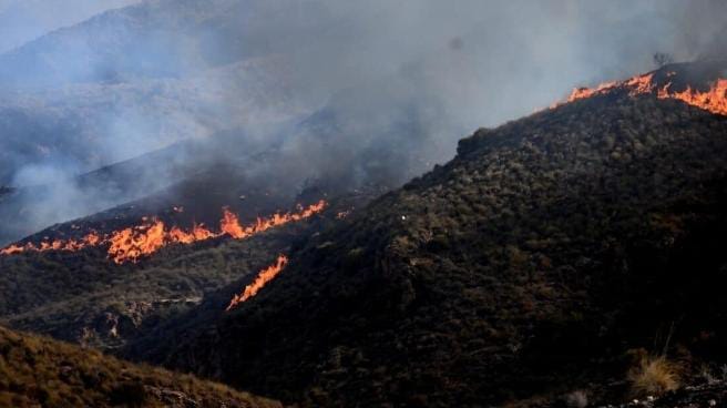Southern Spain Wildfire Kills at least 12 people