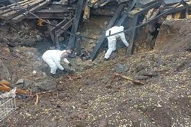 Ukraine requests ‘immediate access’ to Poland blast site