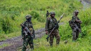 M23 rebel retreat a ‘sham’, DR Congo army says