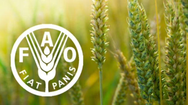 Sri Lanka to get assistance in agricultural development, FAO affirmed