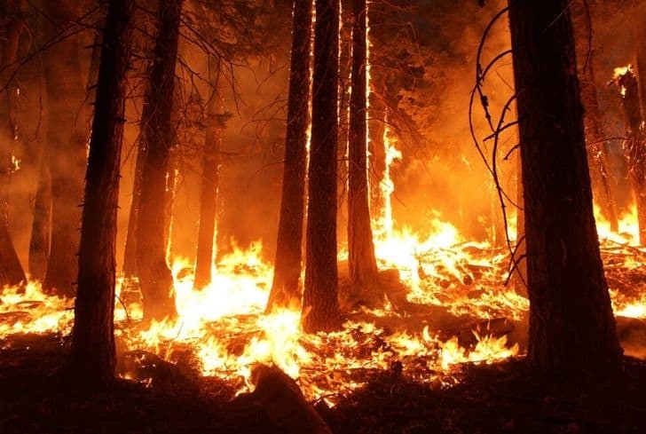 Nepal: Forest office Myagdi says, wildfires have gone out of control, despite preventive measures