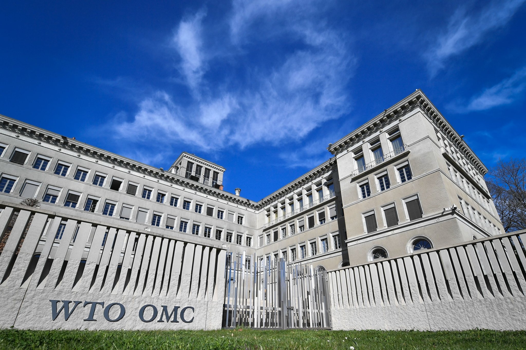 New DG appointed by WTO on Monday